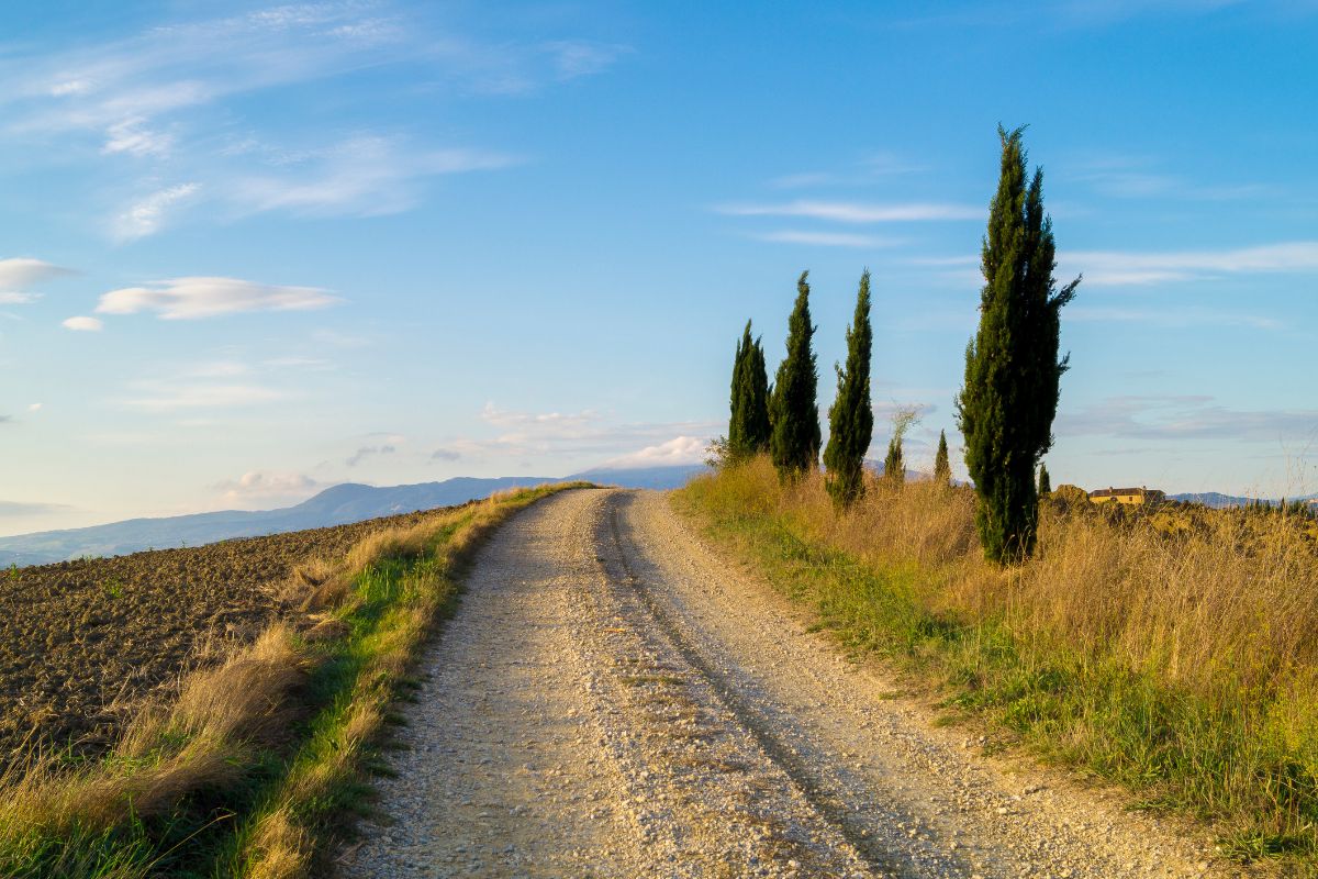 colline toscana